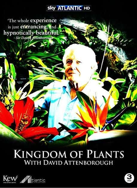 ¼Ƭֲ/Kingdom of Plants-Ļ