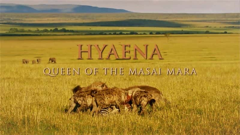 ¼Ƭ๷Ů/Hyaena Queen of the Masai Mara-Ļ