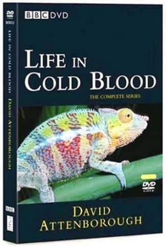 ¼Ƭе/Life in Cold Blood-Ļ