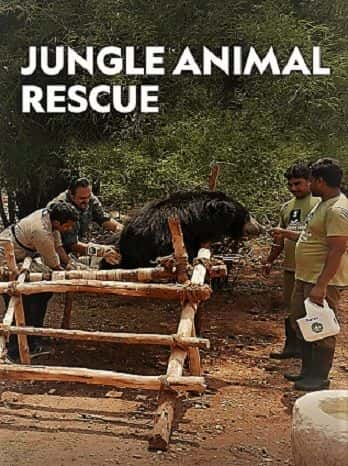 ¼ƬֶӪȣһ/Jungle Animal Rescue: Series 1-Ļ