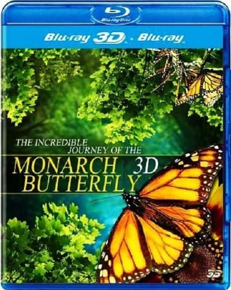 ¼Ƭľó/The Incredible Journey of the Monarch Butterfly-Ļ