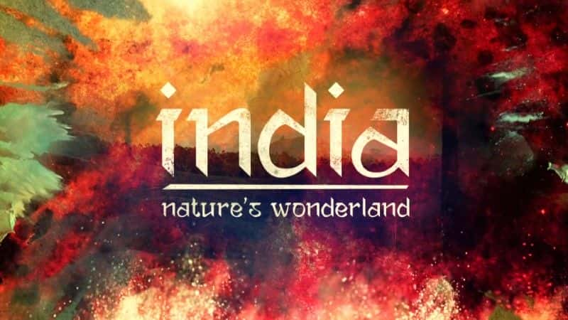 ¼ƬӡȣȻ漣/India: Nature's Wonderland-Ļ