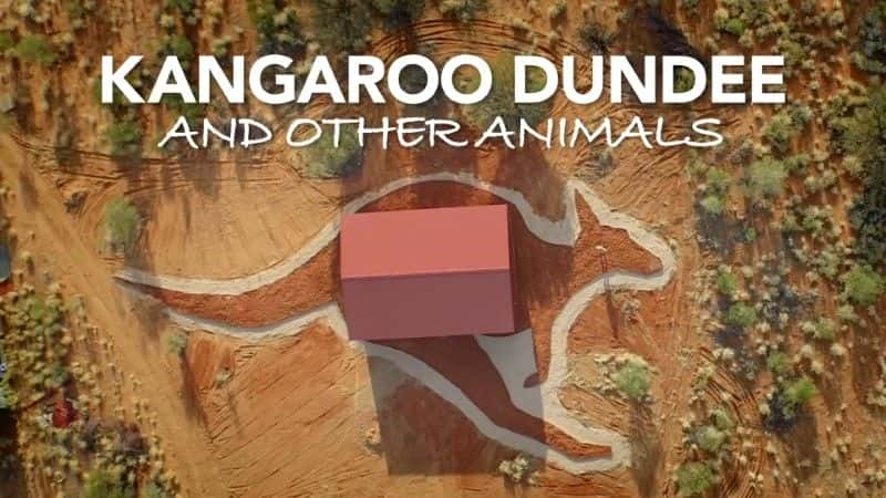 ¼Ƭ˵Ϻ/Kangaroo Dundee and Other Animals-Ļ