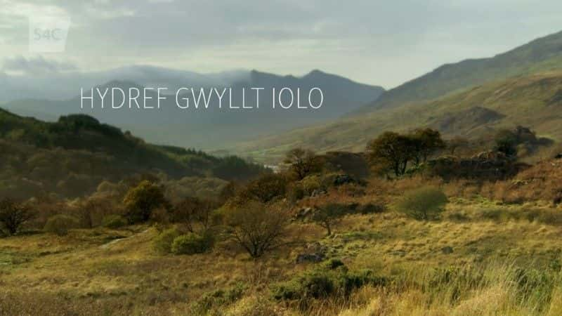 ¼ƬҰ죺һ/Hydref Gwyllt Iolo Series 1-Ļ