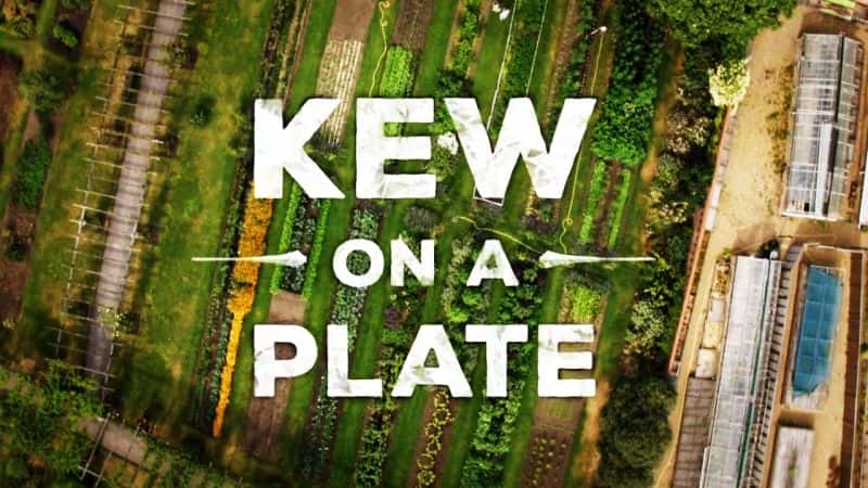 ¼Ƭ׶ؿɪջ԰/Kew on a Plate-Ļ