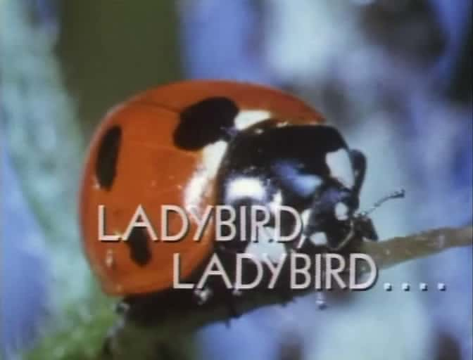 ¼Ƭư棬ư/Ladybird, Ladybird-Ļ