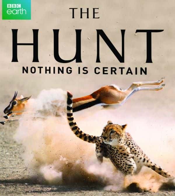 ¼Ƭ/The Hunt-Ļ