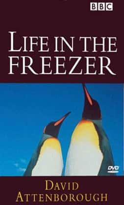 ¼Ƭе/Life in the Freezer-Ļ