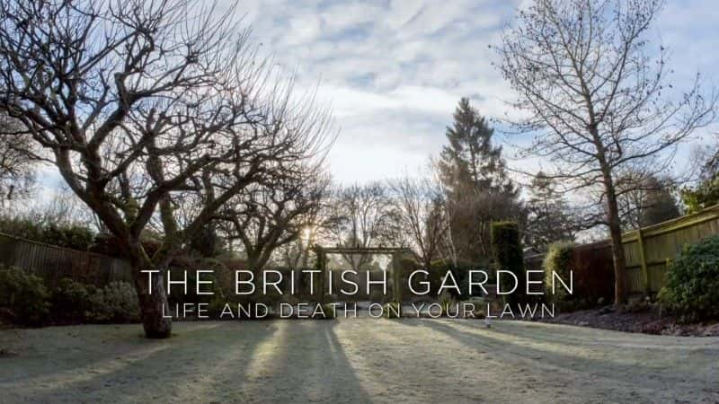 ¼Ƭƺϵ֮/Life and Death on Your Lawn-Ļ