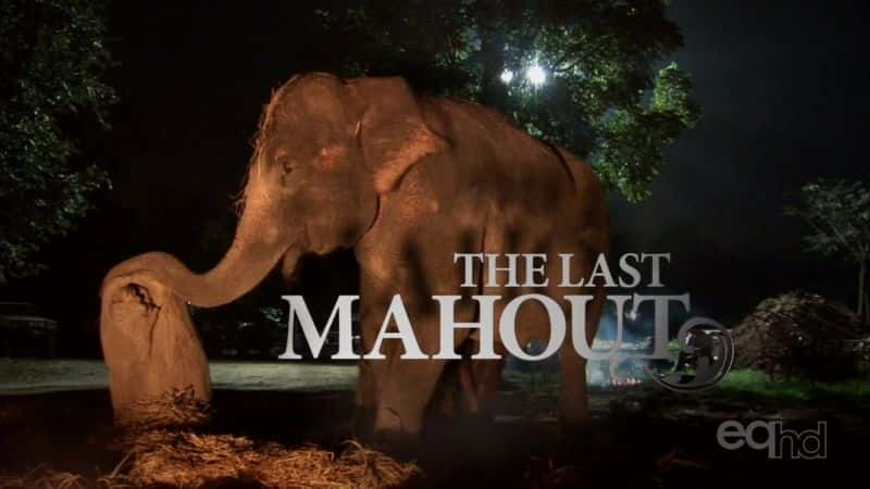 ¼Ƭʦ/The Last Mahout-Ļ