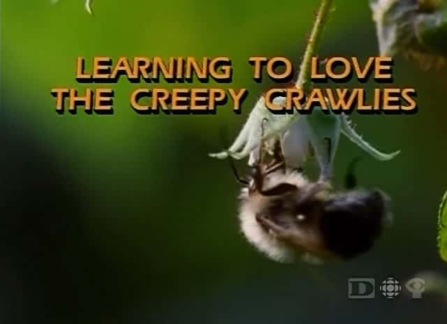 ¼ƬѧᰮϿµж/Learning to Love the Creepy Crawlies-Ļ