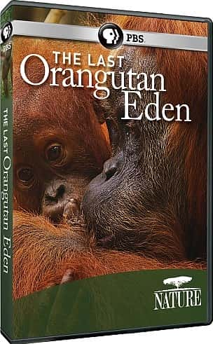 ¼Ƭ԰/The Last Orangutan Eden-Ļ