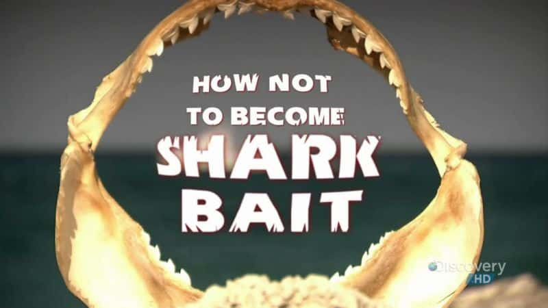 ¼ƬαΪDʳ/How Not to Become Shark Bait-Ļ