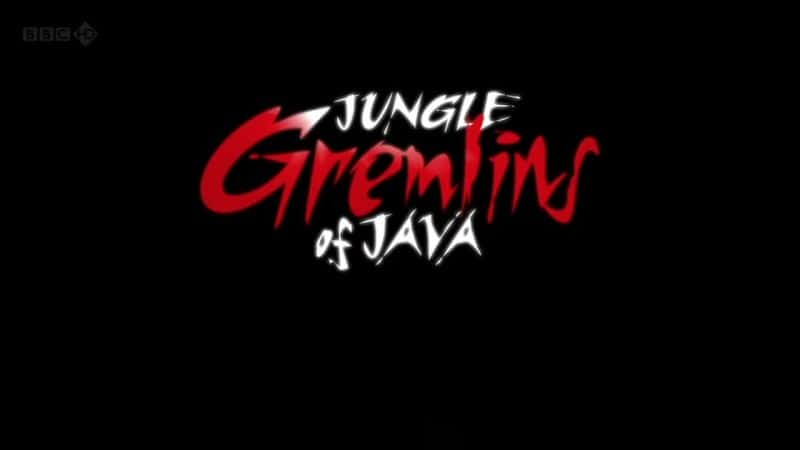 ¼Ƭצ۵ϵĴС/Jungle Gremlins of Java-Ļ