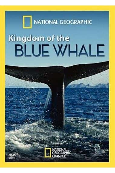 ¼Ƭ/Kingdom of the Blue Whale-Ļ