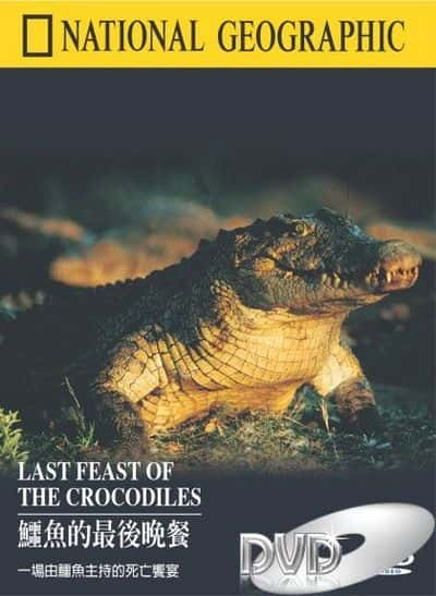 ¼Ƭʢ/Last Feast of the Crocodiles-Ļ