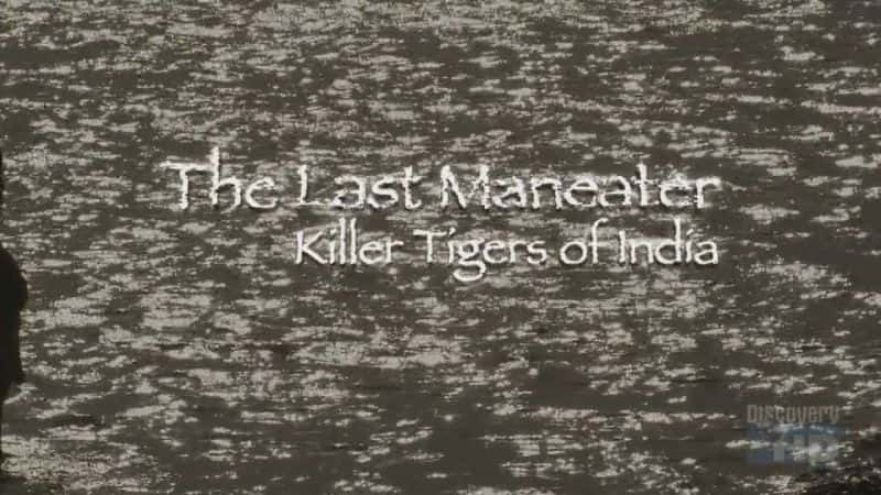 ¼Ƭʳޣӡȵɱ˻/The Last Maneater: Killer Tigers of India-Ļ