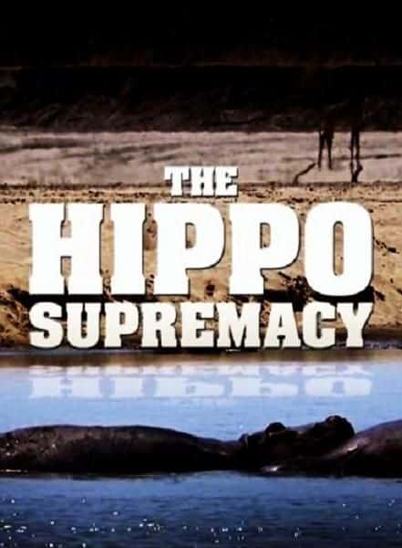 ¼Ƭ/The Hippo Supremacy-Ļ