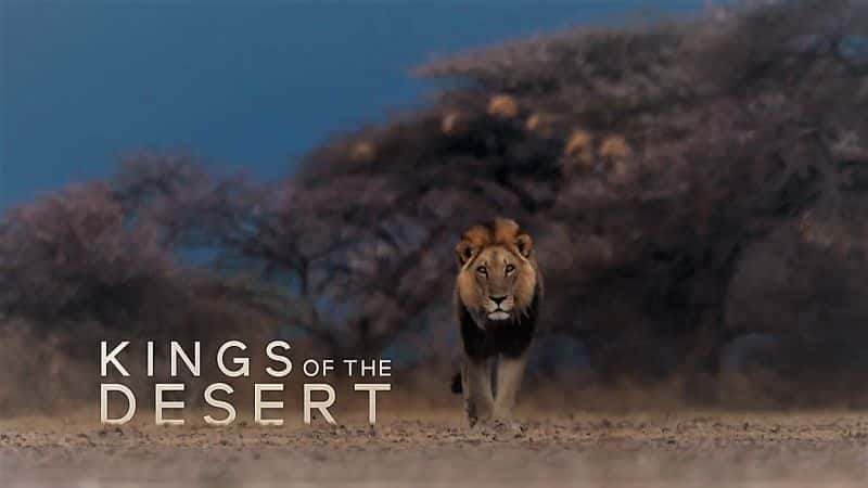 ¼ƬɳĮ֮/Kings of the Desert-Ļ