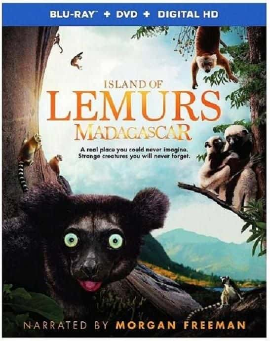 ¼Ƭﵺ˹/Island of Lemurs: Madagascar-Ļ