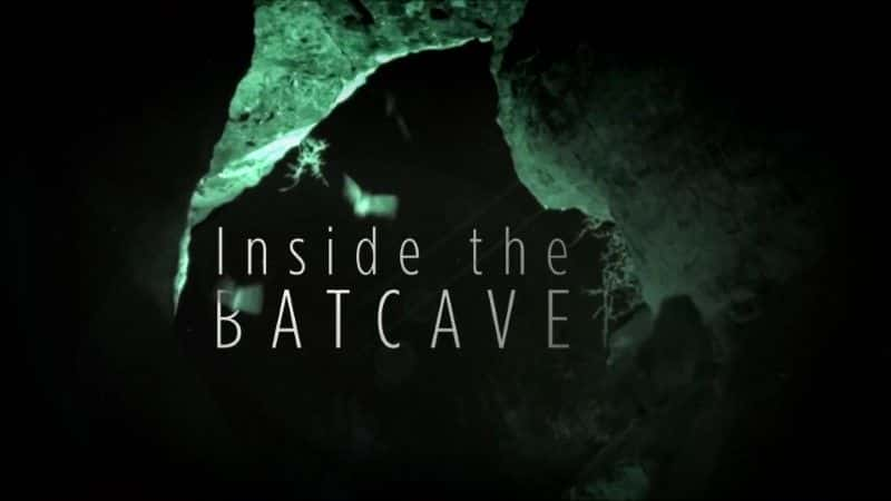 ¼Ƭڲ/Inside the Bat Cave-Ļ