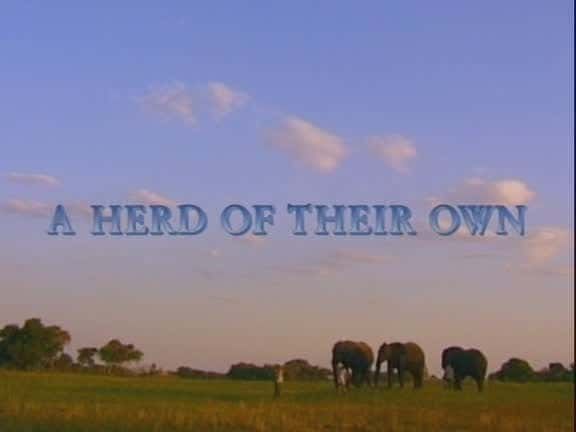 ¼ƬԼȺ/A Herd Of Their Own-Ļ