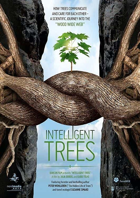 ¼Ƭǻ/Intelligent Trees-Ļ