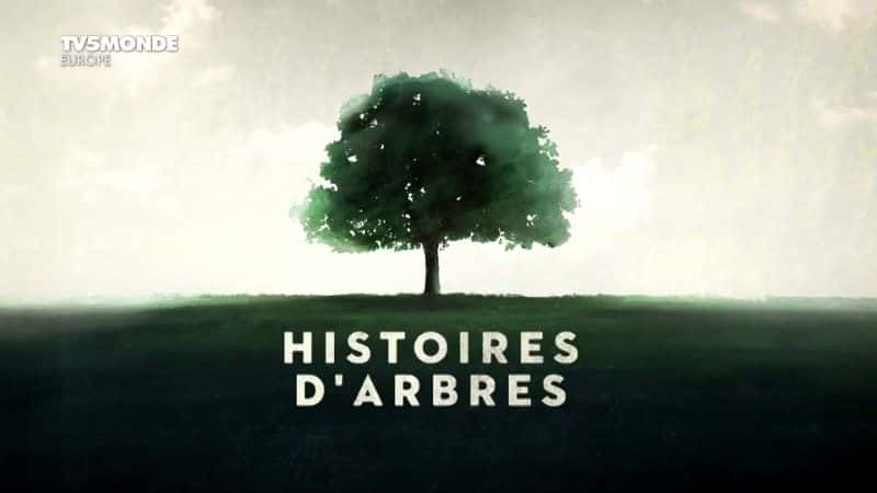 ¼Ƭľµ2/Histoires d'arbres Saison 2-Ļ