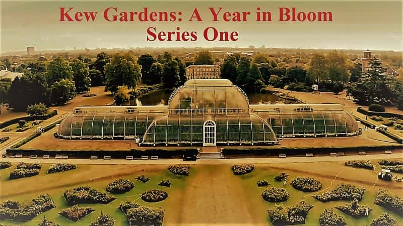 ¼Ƭ׶ؿɪջ԰ʢһϵ1/Kew Gardens: A Year in Bloom Series 1-Ļ