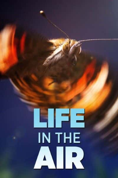 ¼Ƭе/Life in the Air-Ļ