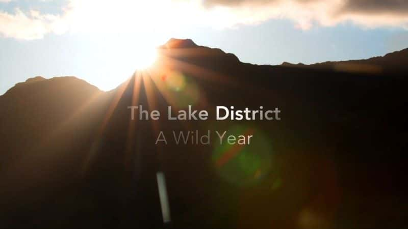 ¼ƬҰ֮/The Lake District: A Wild Year-Ļ