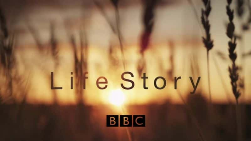 ¼Ƭ/Life Story-Ļ