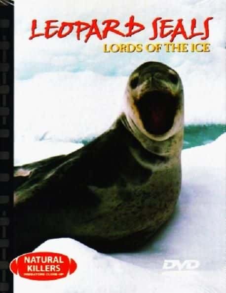 ¼Ƭѩ֮/Leopard Seal: Lords of the Ice-Ļ
