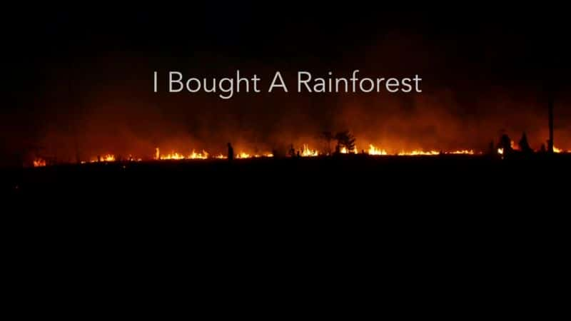 ¼Ƭһ/I Bought a Rainforest-Ļ