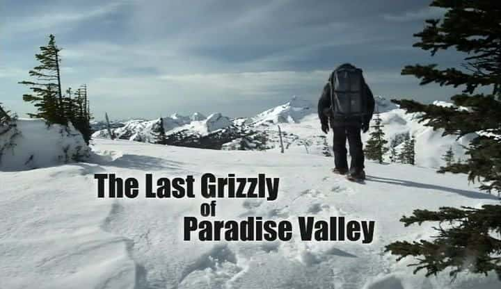 ¼ƬɽĻ/The Last Grizzly of Paradise Valley-Ļ