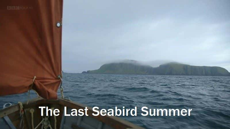 ¼Ƭĺļ/The Last Seabird Summer-Ļ