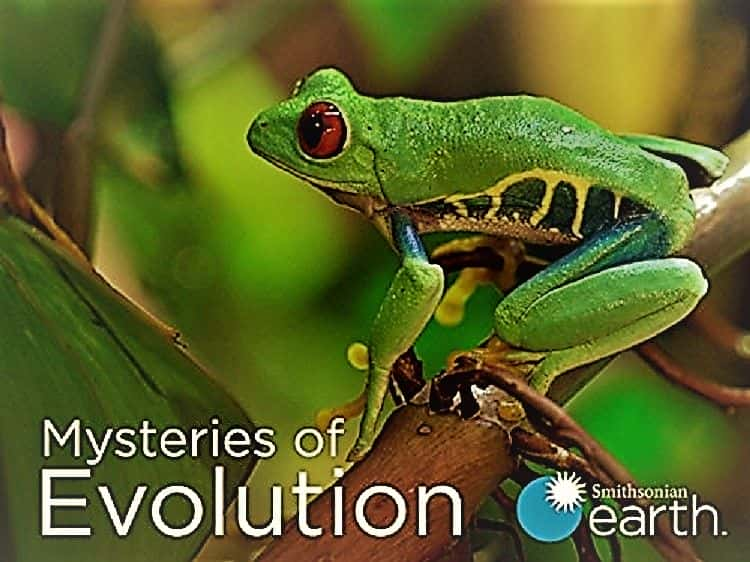 ¼Ƭİأһ/Mysteries of Evolution: Series 1-Ļ