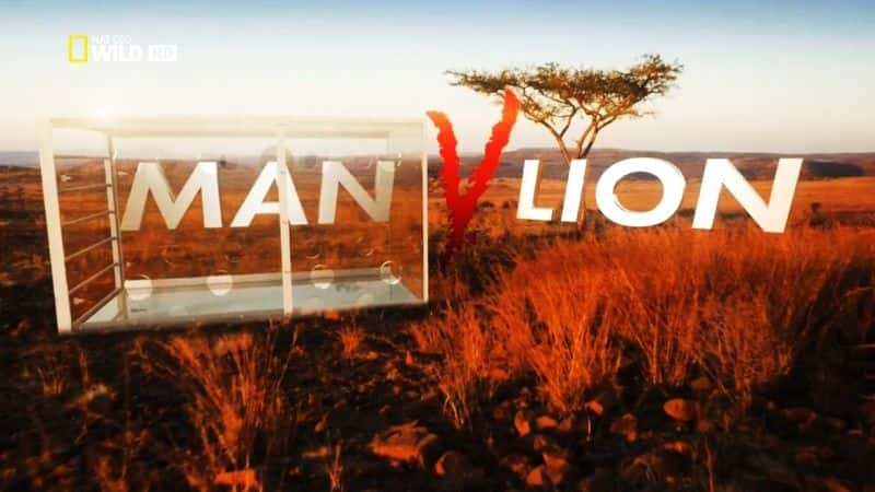 ¼Ƭʨ/Man Vs. Lion-Ļ