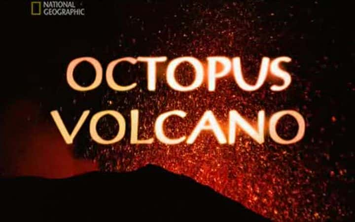 ¼Ƭɽ/Octopus Volcano-Ļ