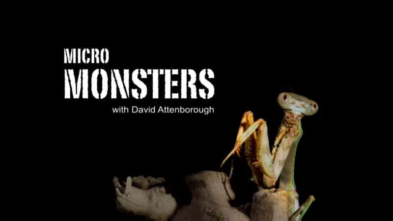 ¼ƬǱһ΢С/Micro Monsters with David Attenborough-Ļ