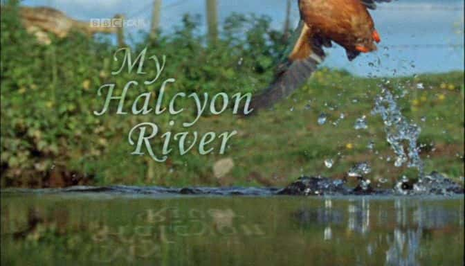 ¼Ƭҵ/My Halcyon River-Ļ