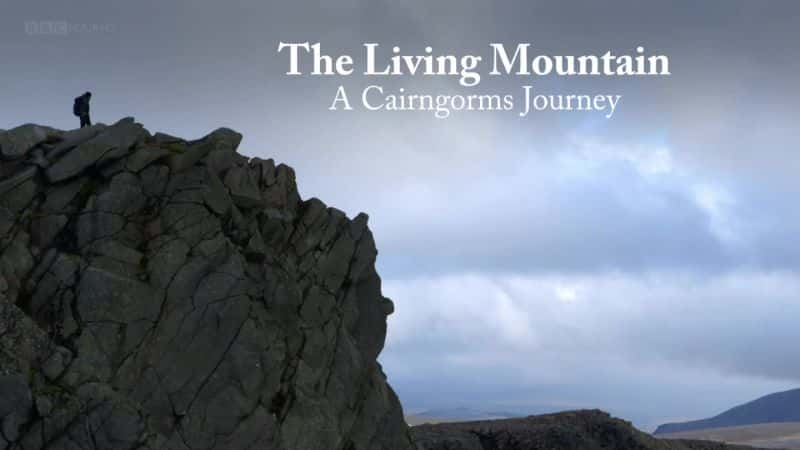 ¼Ƭŵɽһοķ֮/The Living Mountain: A Cairngorms Journey-Ļ