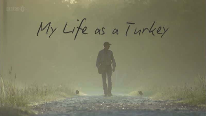 ¼ƬΪһֻ𼦵/My Life as a Turkey-Ļ