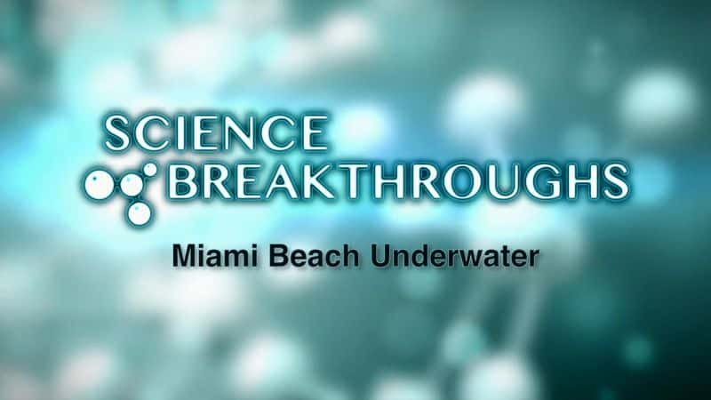 ¼Ƭ̲ܺˮ/Miami Beach Underwater-Ļ