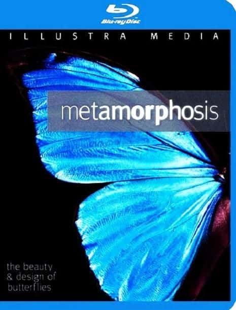 ¼ƬΣ/Metamorphoisis:The.Beauty.and.Design.Of.Butterflies-Ļ