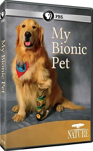 ¼Ƭҵķ/My Bionic Pet-Ļ