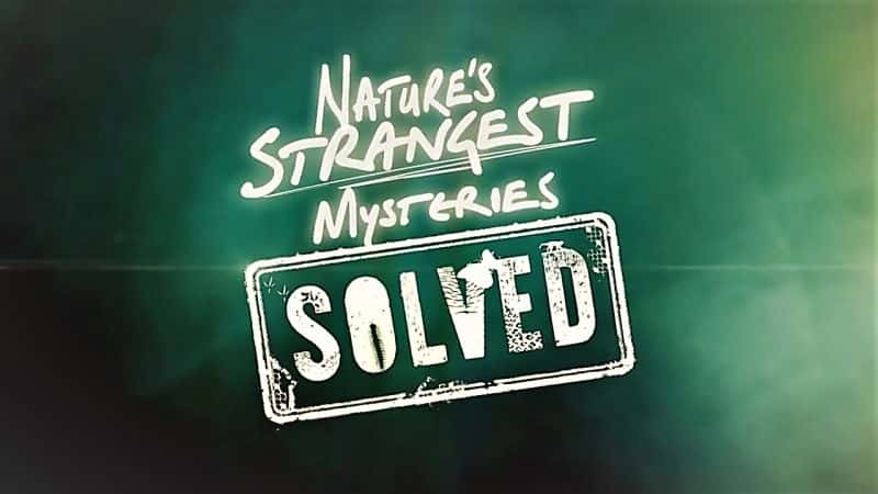 ¼ƬȻֵŽ⿪ϵ111֣èļб/Natures Strangest Mysteries Solved Series 1 Part 11: Big Cat Screaming Match-Ļ