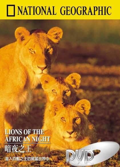 ¼Ƭ֮ҹʨ/Lions of the African Night-Ļ