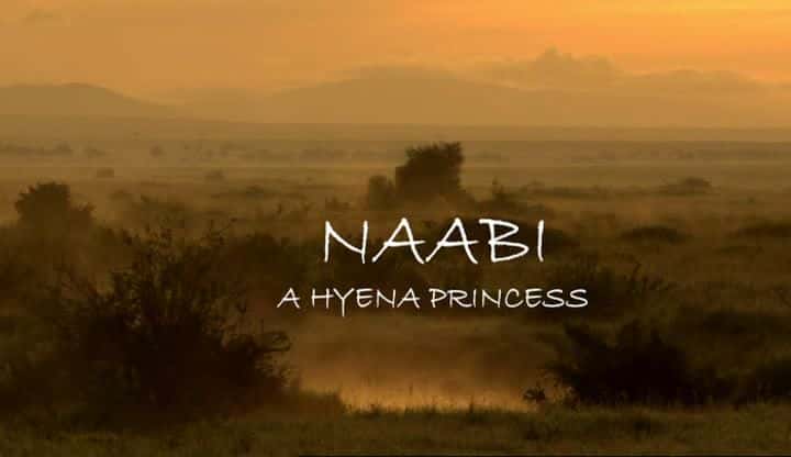 ¼Ƭɱ - һֻ๷/Naabi - A Hyena Princess-Ļ