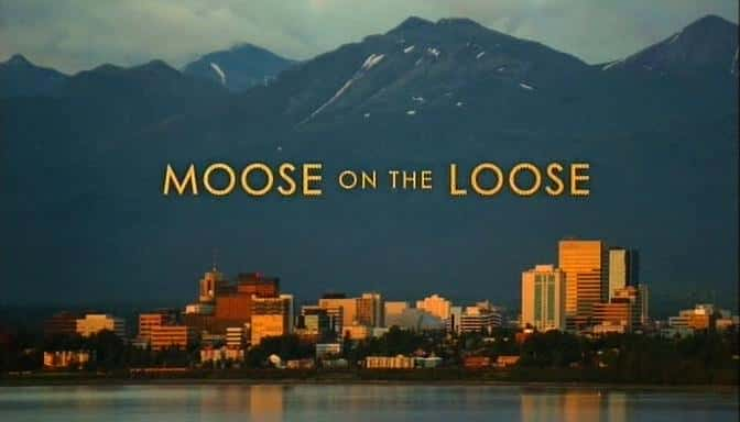 ¼Ƭʧ¹/Moose on the Loose-Ļ